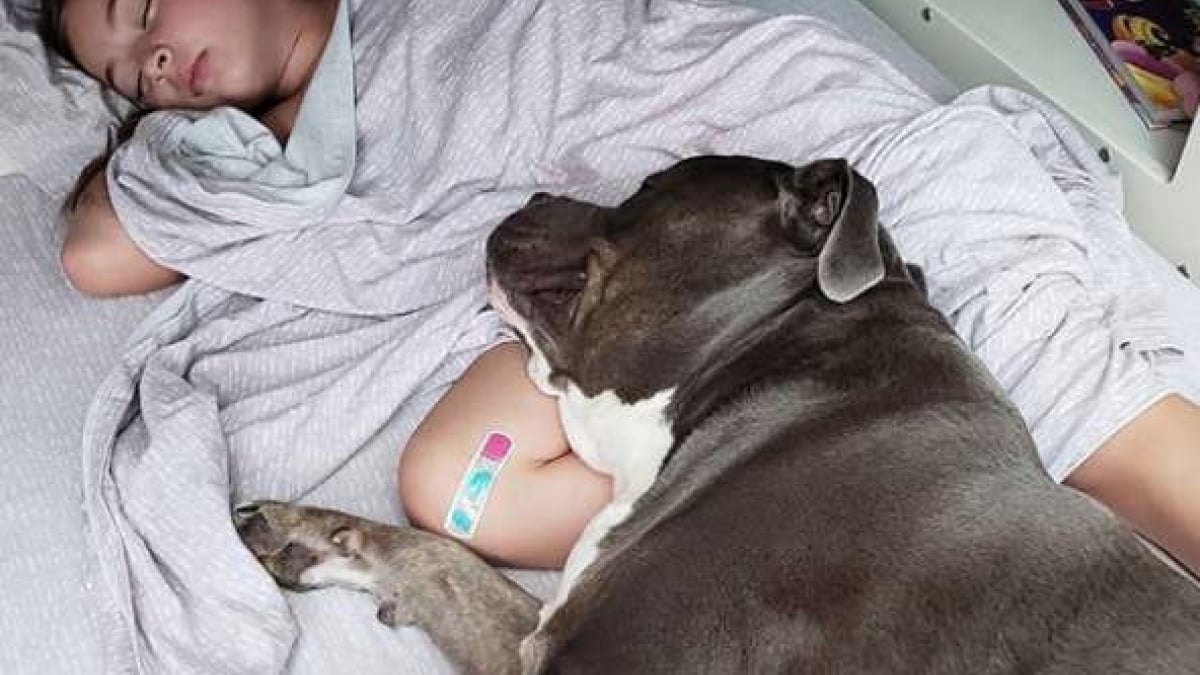Ein einzigartiges Band zwischen einem Mädchen und seinem Hund